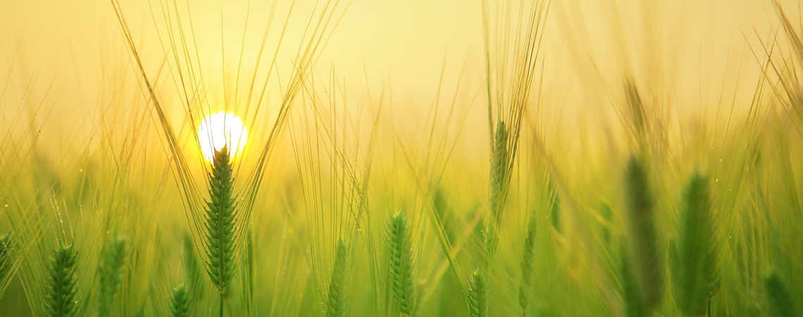 Oberarzt (m/w/d) für die Abteilung Psychosomatische Medizin und Psychotherapie, 1. Bild